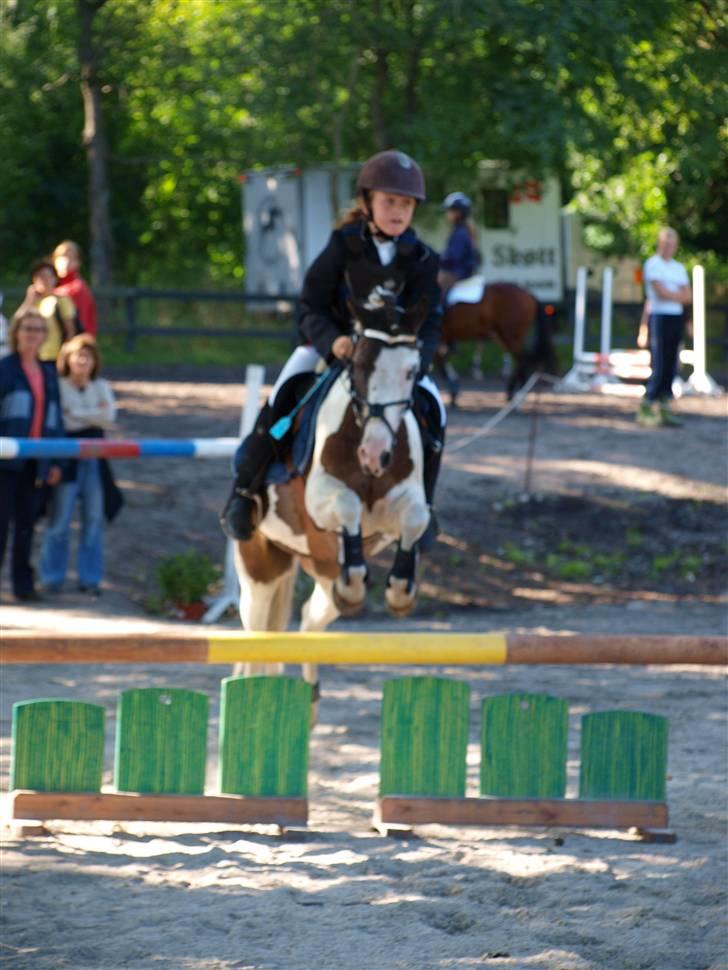 Anden særlig race Indian blue (solgt) - i vores første Lb<3 billede 7