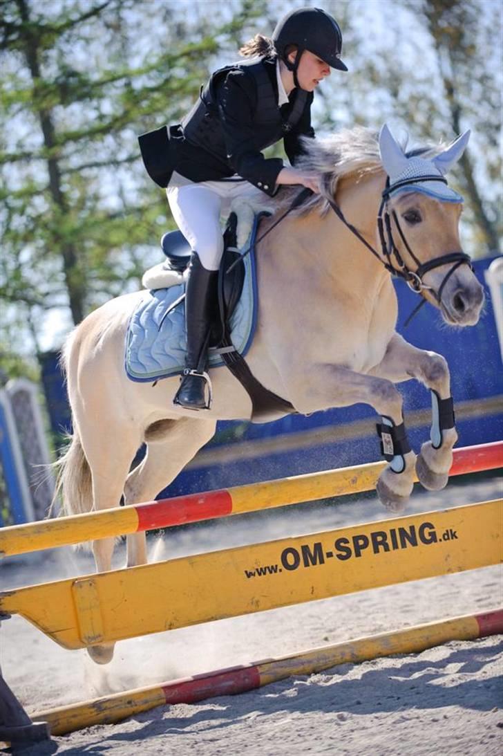 Anden særlig race Sylvester (Udlånt) - Fordi selv når vi ikke klarer os godt, så kæmper vi videre.. Jeg opgiver dig aldrig, skat! Foto: Prof. fotograf, billede 7