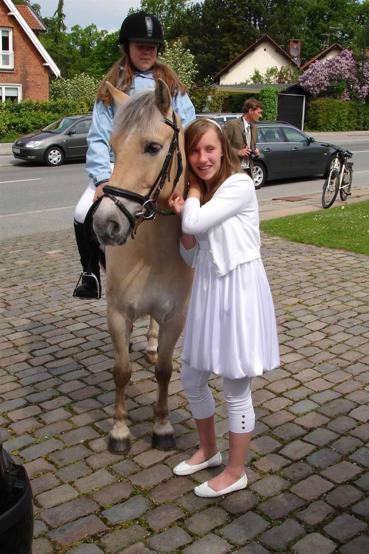 Anden særlig race Sylvester (Udlånt) - Fordi du er der på det vigtigste tidspunkter i mit liv.. Foto: Far billede 9