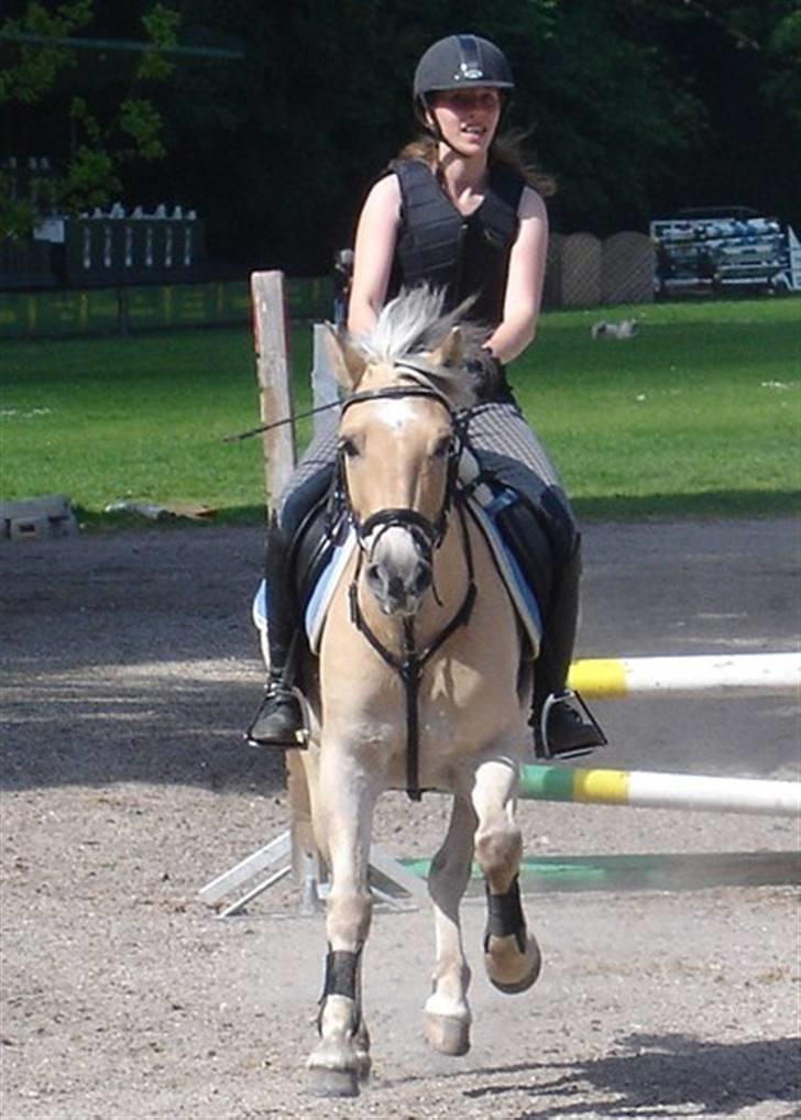 Anden særlig race Sylvester (Udlånt) - Fordi her kommer vi, fuldfart frem.. Foto: Eva, Taak billede 17