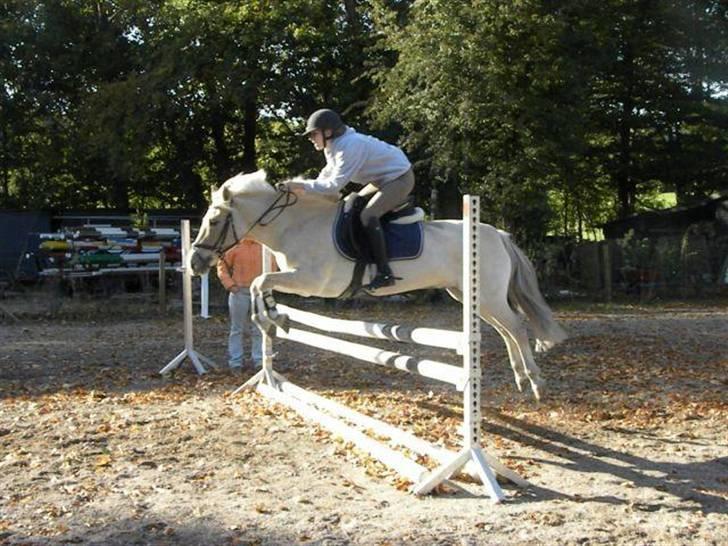 Anden særlig race Sylvester (Udlånt) - Fordi du er let på tå, selvom man ikke skulle tro det ?! Foto: Freja Fokdal, Taak billede 18