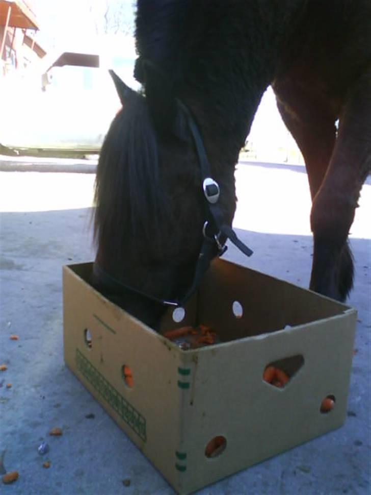 Anden særlig race Lego<3<3(tidl. part)<3<3 - En stor kasse med gulerødder, Mmm det sys lego er dejligt<3:D billede 20