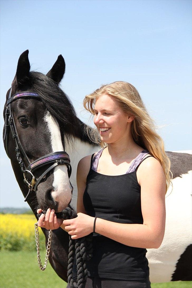 Barockpinto Jake - Jeg elsker dig min Prins :´) Foto: Maria Rasch billede 14