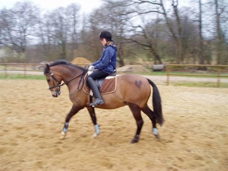 Anden særlig race congo*solgt* - det var hende der havde han før billede 15
