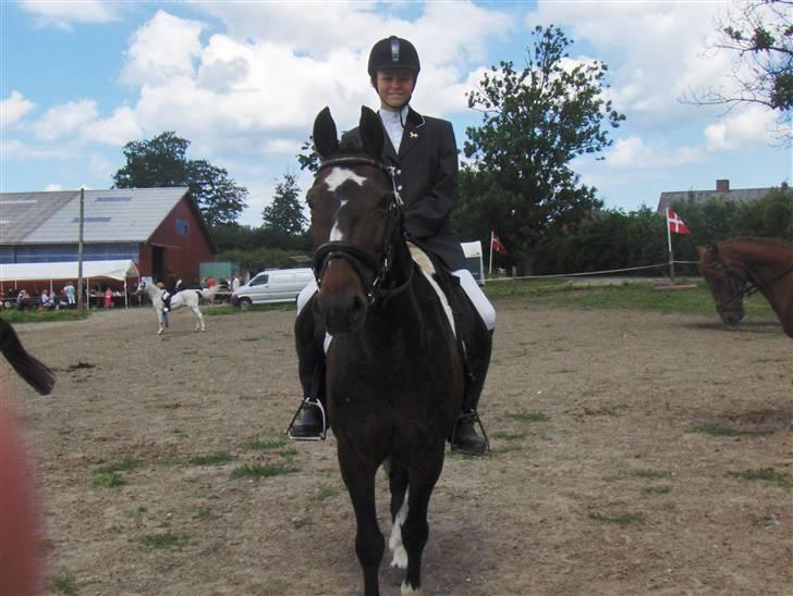 DSP *Star R.I.P * - her er vi til vores første military stævne vi ska til at ride dressur (diciplin vinder) foto:min mor =) billede 17