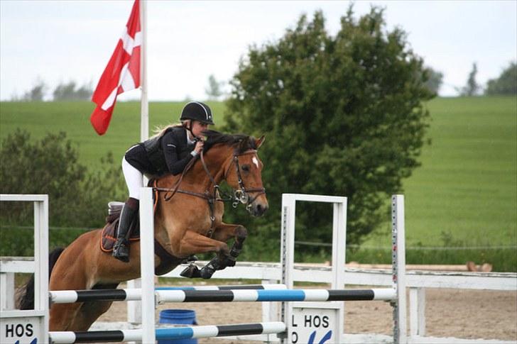 Anden særlig race Aniara - opvarmning på SPS:D billede 7