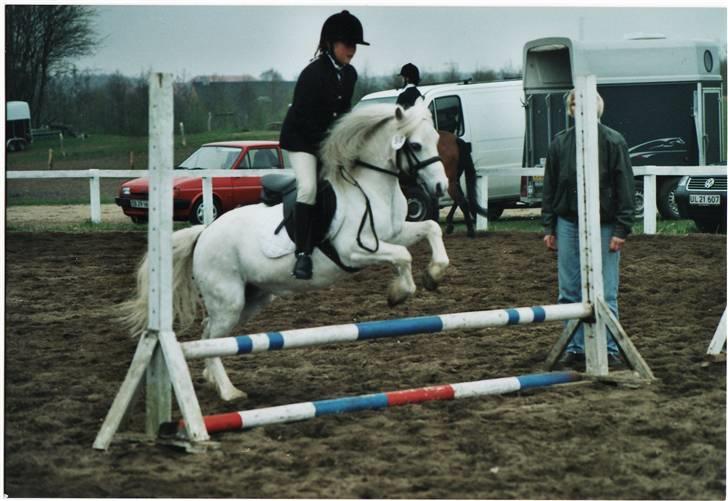 Welsh Mountain (sec A) Gribsvads Patsy - Opvarmning til spring, Welsh stævne 05 billede 6