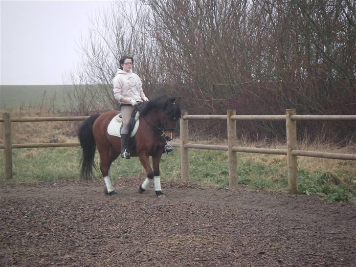 Anden særlig race Joachim  - solgt :(- billede 7