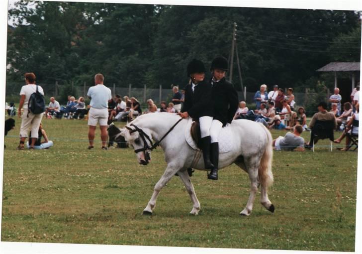 Welsh Mountain (sec A) Gribsvads Patsy - Min kusine, Patsy og jeg skal til præmieoverrækelse(staves?) billede 12