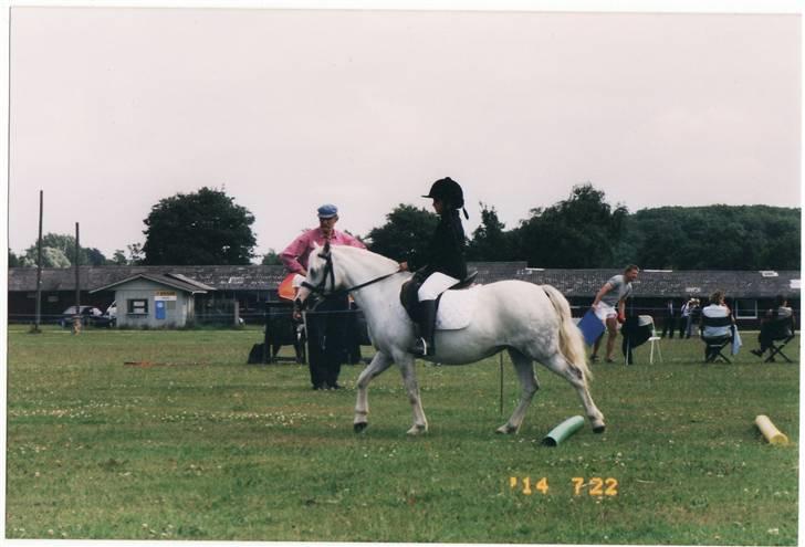 Welsh Mountain (sec A) Gribsvads Patsy - Lille mig og Patsy til mini derby, kåring 03 billede 13
