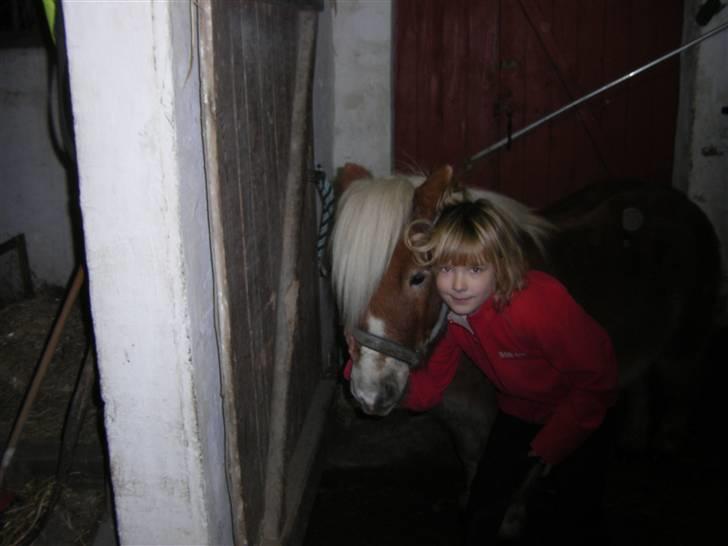 Anden særlig race Lukas<3 (solgt) billede 11