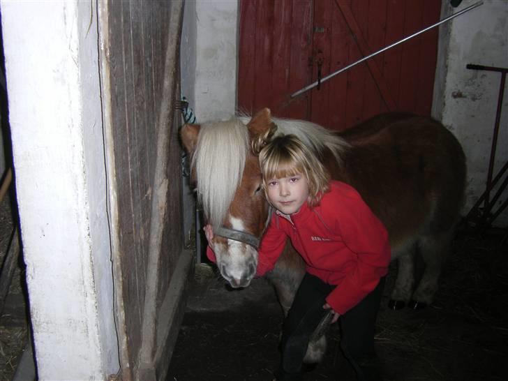 Anden særlig race Lukas<3 (solgt) billede 12