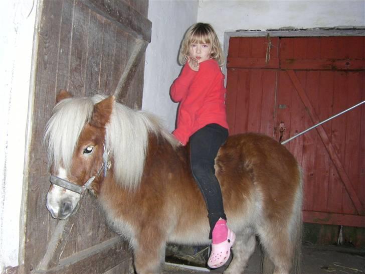 Anden særlig race Lukas<3 (solgt) billede 13