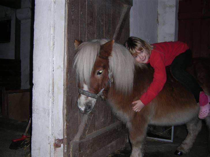 Anden særlig race Lukas<3 (solgt) billede 14