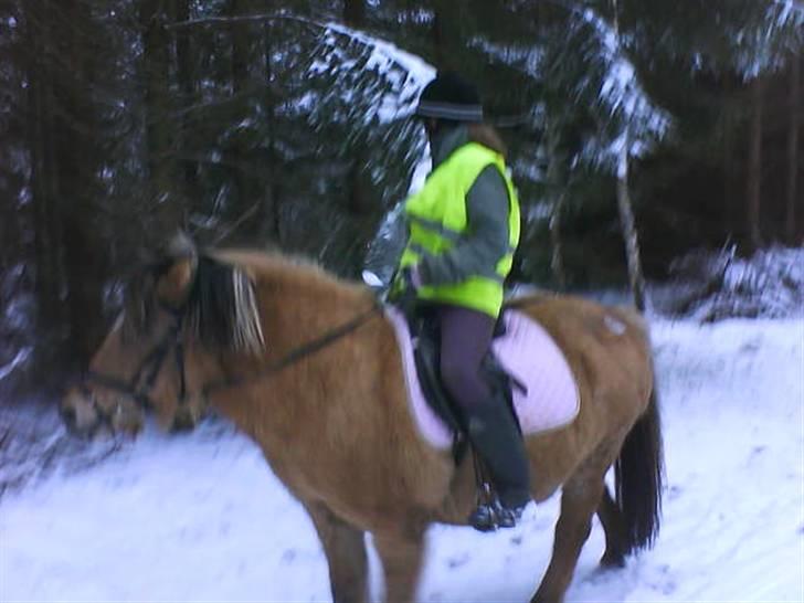Anden særlig race Luna<3 (GL-part) billede 16