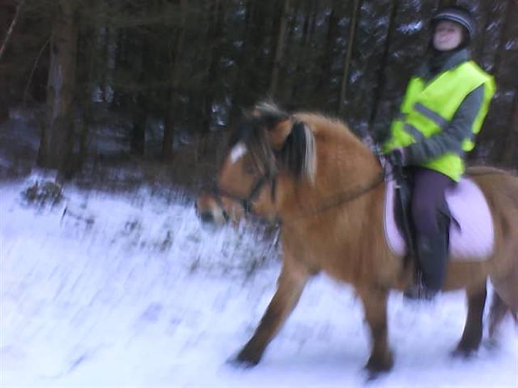 Anden særlig race Luna<3 (GL-part) billede 19