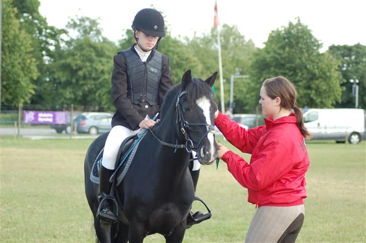 DSP Bæklunds Capone A-PONY - nr 5 i MA til Bollers landsstævne i 2009 :)  billede 6