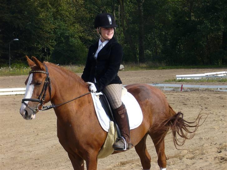 DSP sara *pension* billede 2