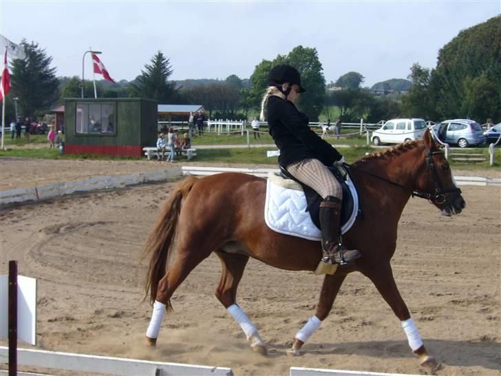 DSP sara *pension* billede 4