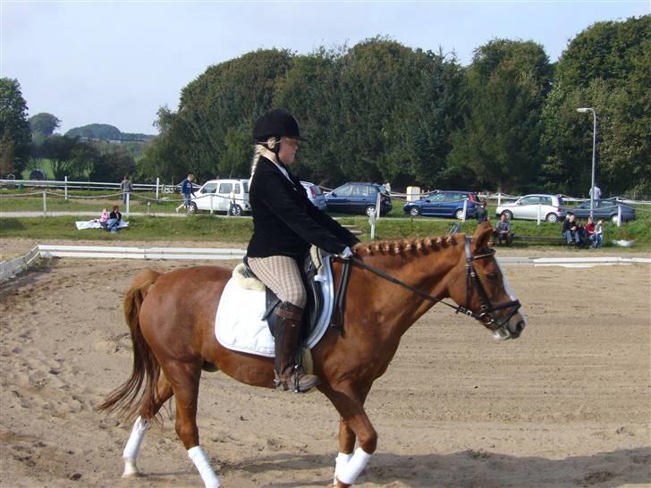 DSP sara *pension* billede 5