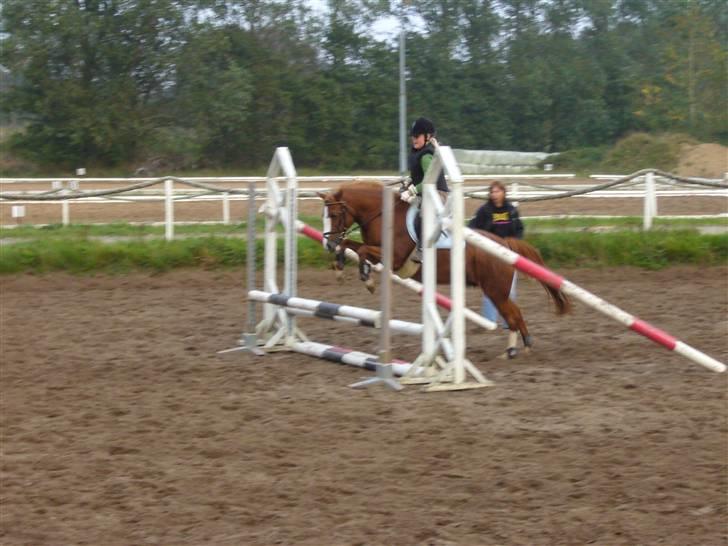 DSP sara *pension* billede 7