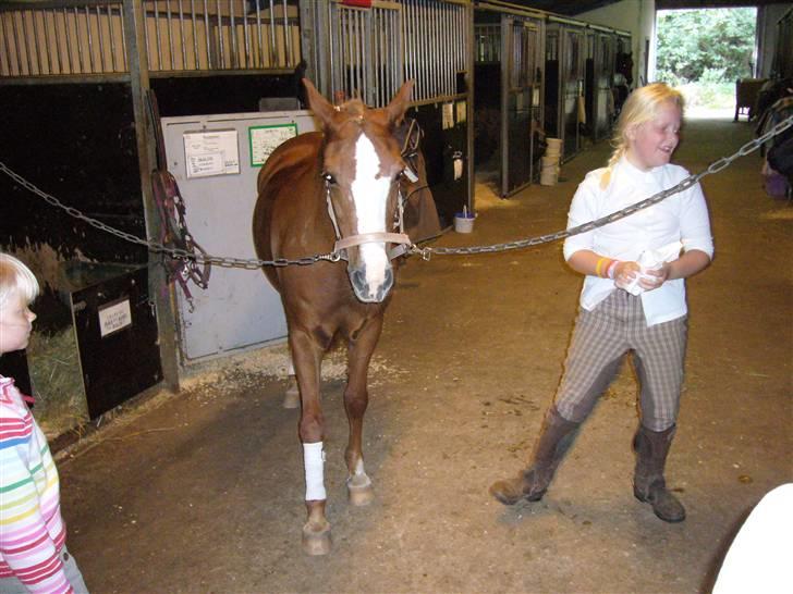 DSP sara *pension* billede 11