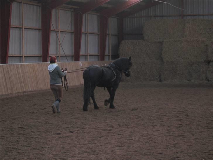 Frieser Hylske P.T.  gl passer billede 7