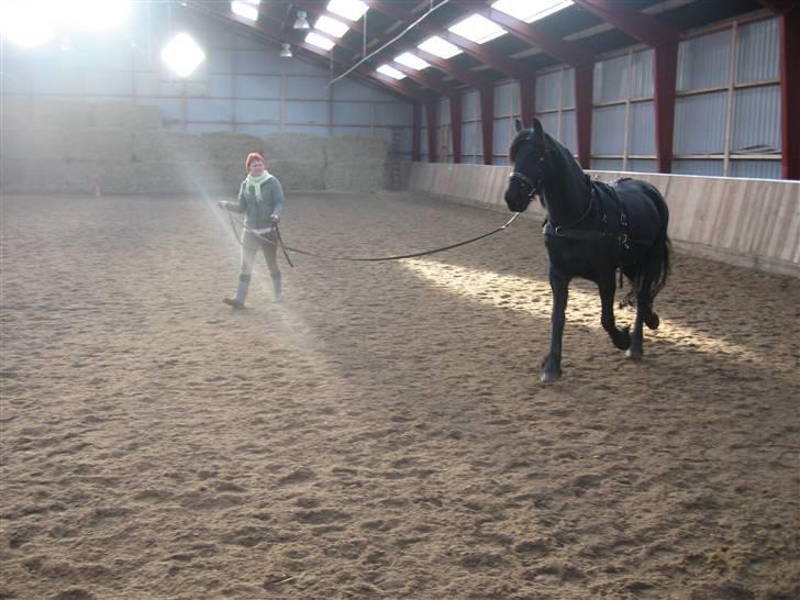 Frieser Hylske P.T.  gl passer billede 8