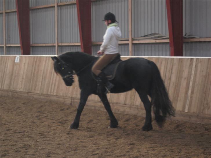 Frieser Hylske P.T.  gl passer billede 9