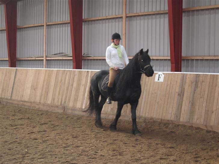 Frieser Hylske P.T.  gl passer billede 11