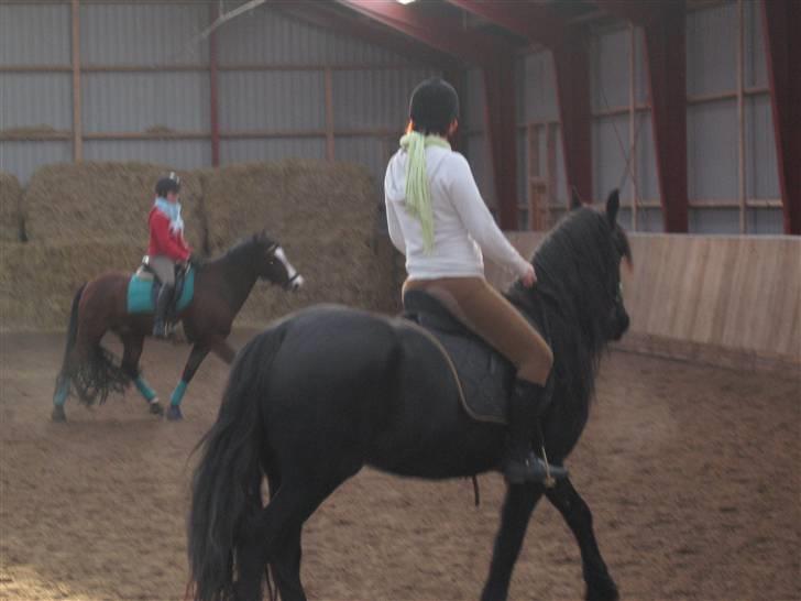 Frieser Hylske P.T.  gl passer billede 15