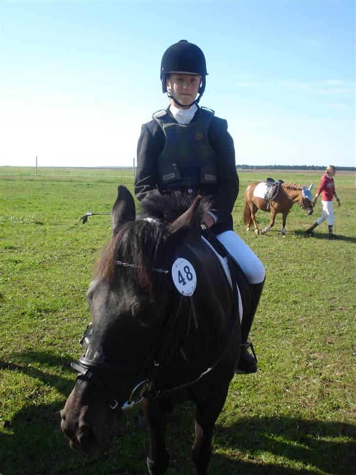 New Forest gl part:´( Bonette<3 - #2 vi er nu til stævne billede 2