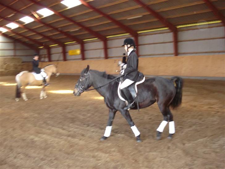 New Forest gl part:´( Bonette<3 - #3 ja når man skal så skal man billede 3