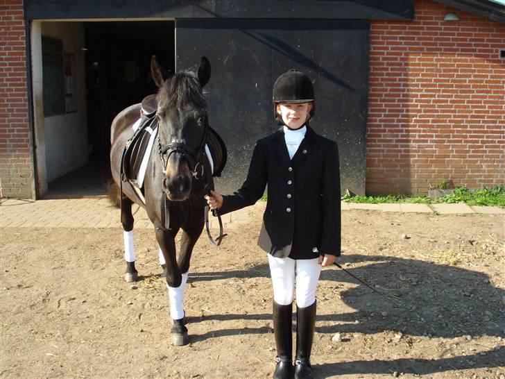 New Forest gl part:´( Bonette<3 - #4 så gør vi klar til stævne woow billede 4