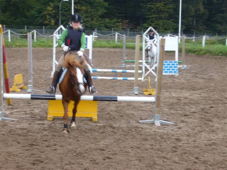 DSP sara *pension* billede 12