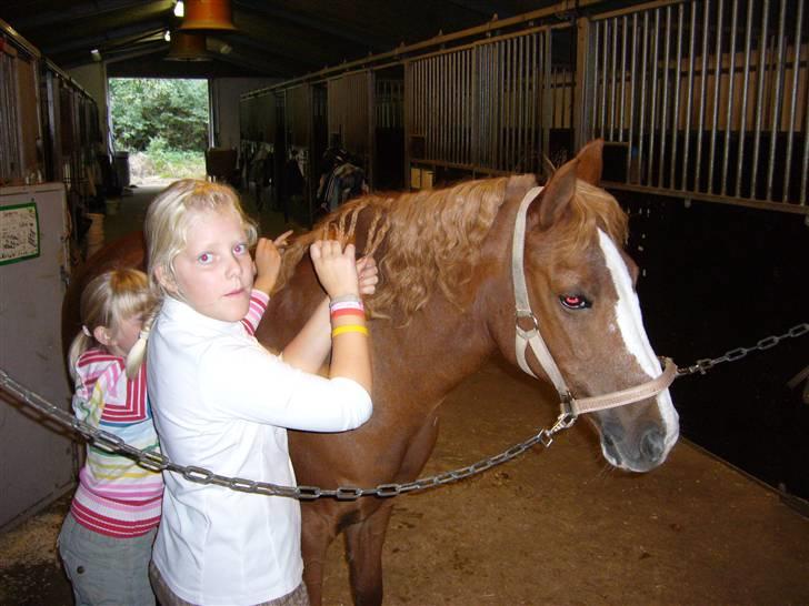 DSP sara *pension* billede 14