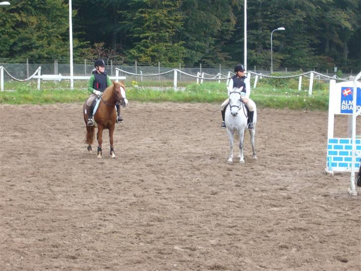 DSP sara *pension* billede 16