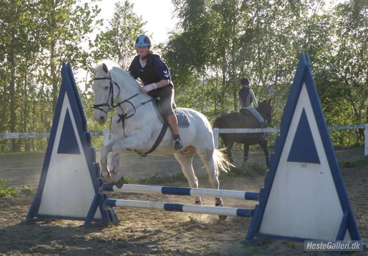 Knabstrupper Coco's J'aime La Vie MIN - Mig og Coco springer <333 billede 19