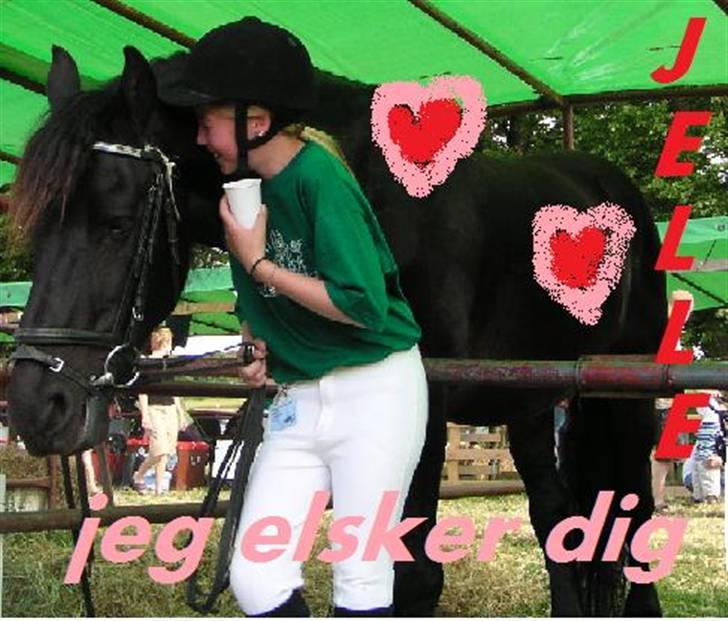 Frieser Jelle - mig og jelle på bregentved 08 billede 9