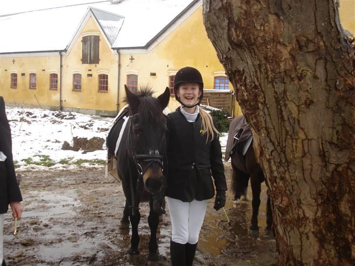 New Forest gl part:´( Bonette<3 - #5 Stævne igen - det var sjovt,  fik en deltager plads, det er godt:D<3 billede 5