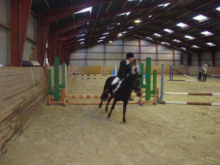 New Forest gl part:´( Bonette<3 - #6 LANDING!!!! og videre til den næste:* billede 6