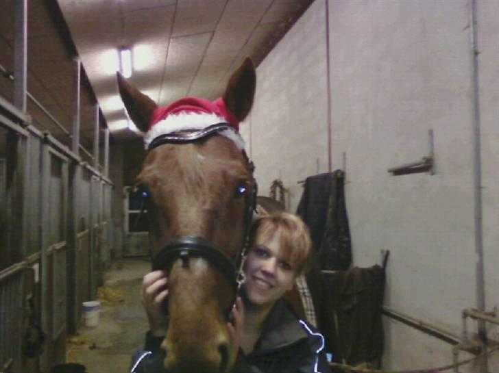 Traver Chalup Bangsbo billede 8