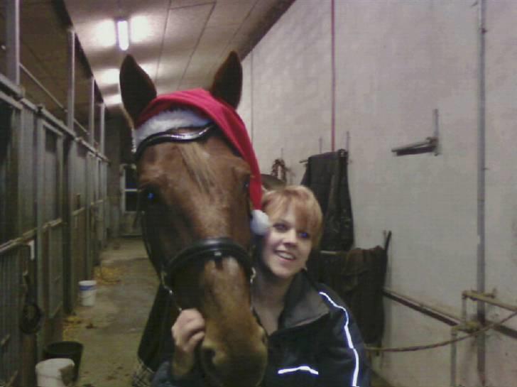 Traver Chalup Bangsbo billede 9