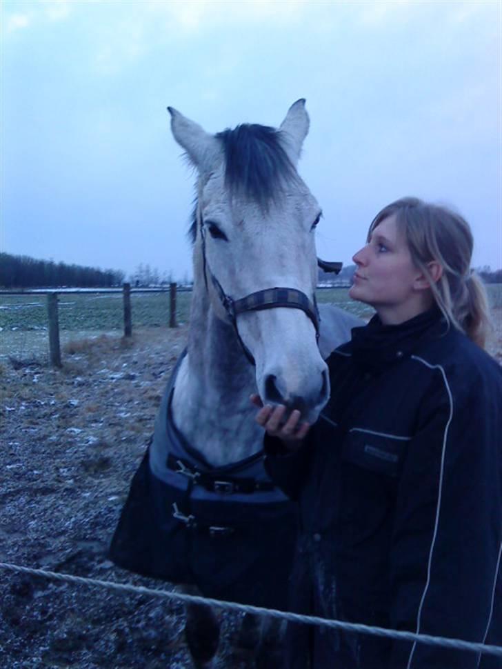 Dansk Varmblod Bakgårdens Samson R.I.P. :'( :'( - Smukke Samson =) billede 19