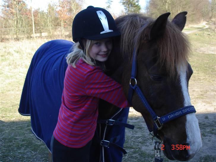 DSP Krumme UDLÅNT - Lillesøster Julie på Krumme :D + hans nye DSP dækken <3 billede 4