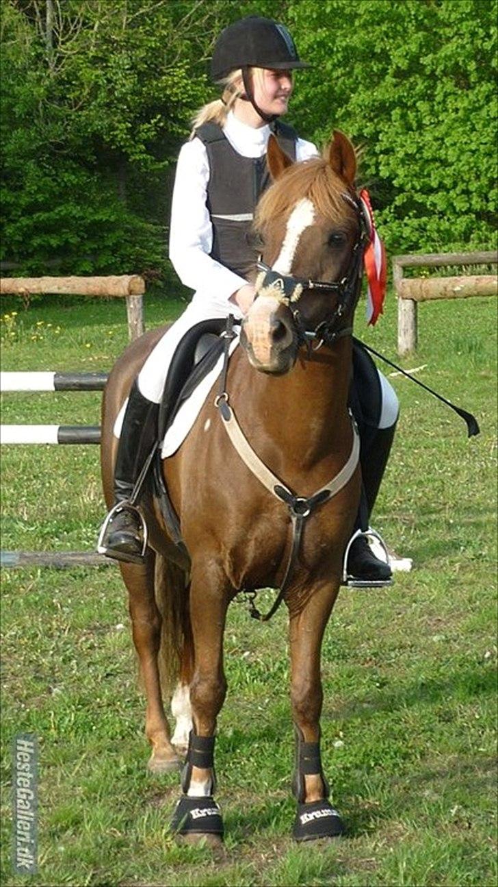 DSP Krumme UDLÅNT - Velkommen til KrummeDrengen's profil. billede 1