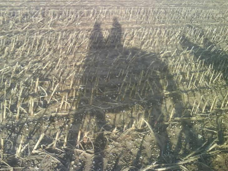 Oldenborg Fabrina ' Min mors - skyggen  billede 2