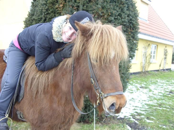 Islænder Frökk frá Enni - hvor er jeg dog grim d: haha. Foto: Katrine :) billede 4