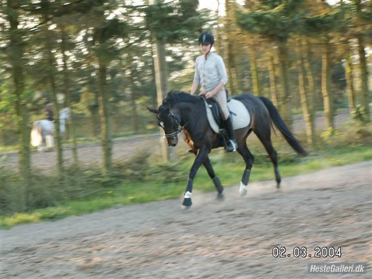 Anden særlig race Chica billede 9