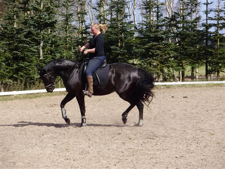 Oldenborg mitzi af østmark billede 3